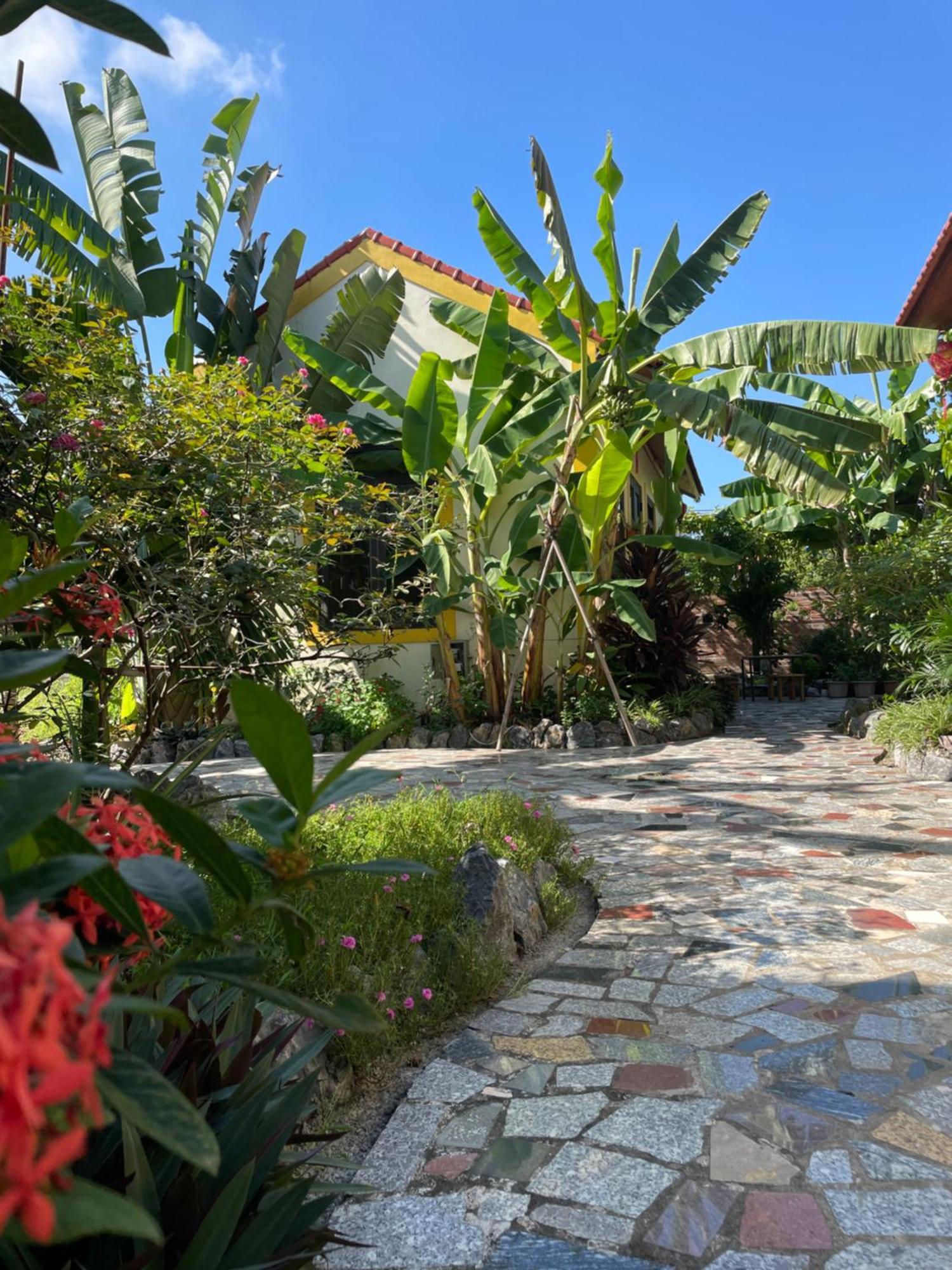 Ninh Binh Royal Homestay Buitenkant foto