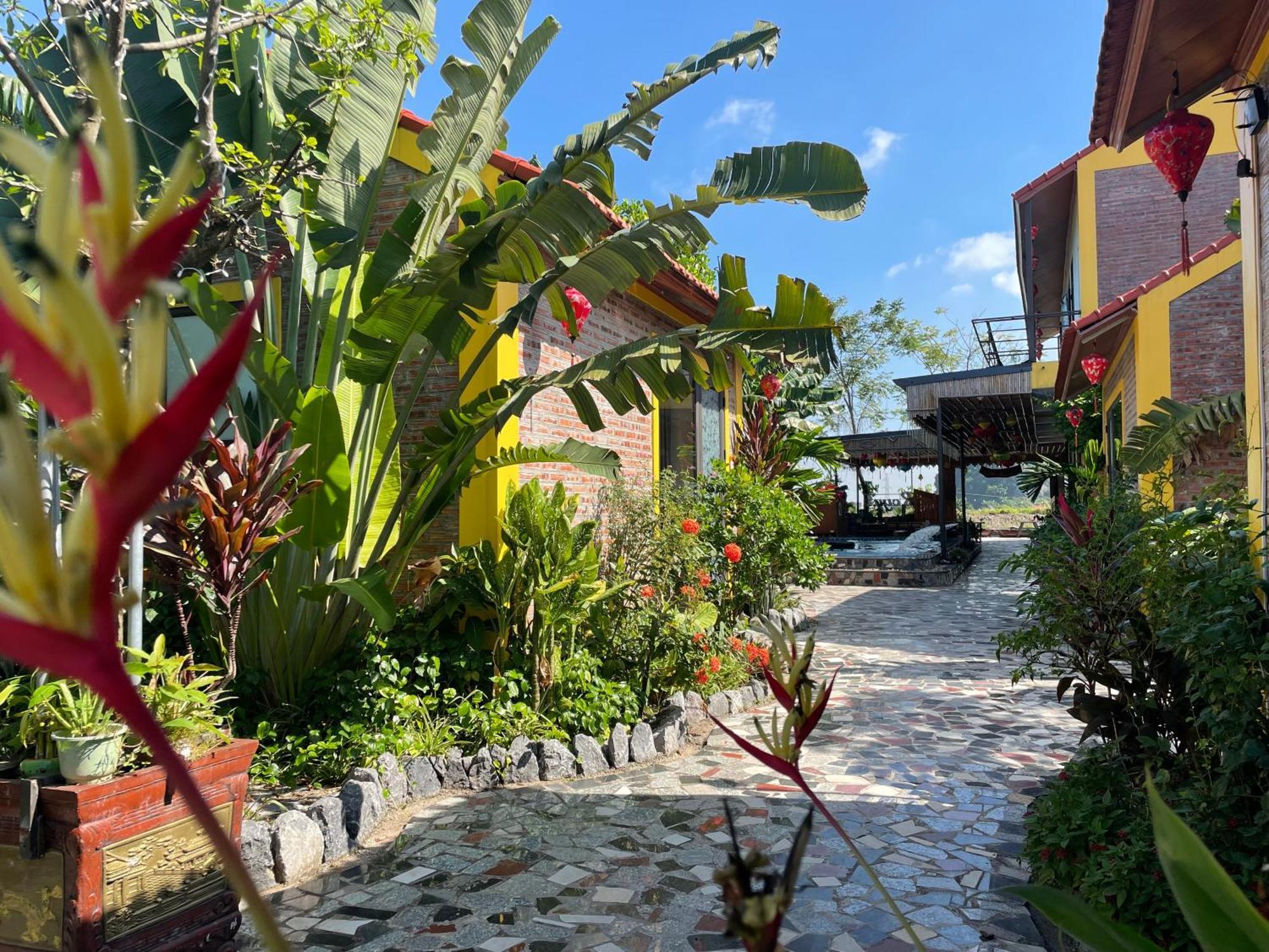 Ninh Binh Royal Homestay Buitenkant foto